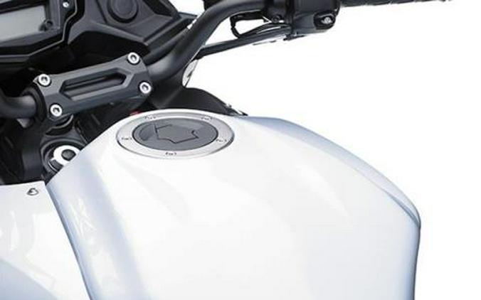 2015 Kawasaki Versys® 650 LT