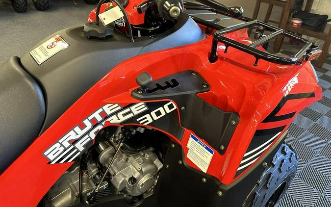 2024 Kawasaki Brute Force® 300