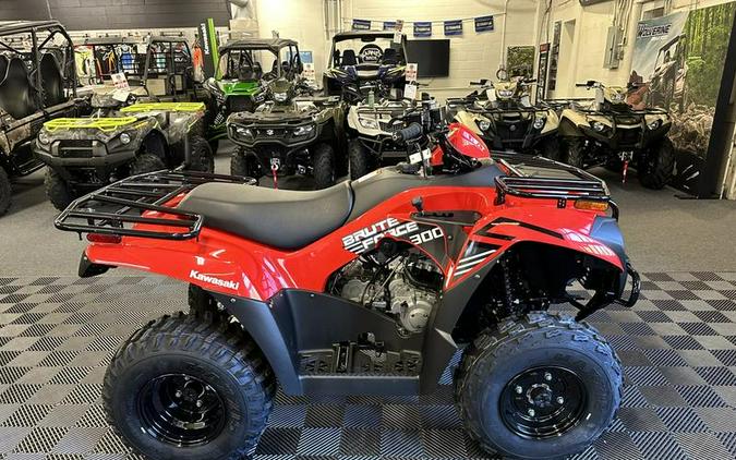 2024 Kawasaki Brute Force® 300