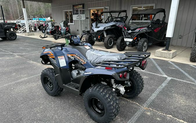 2024 Kawasaki Brute Force 300