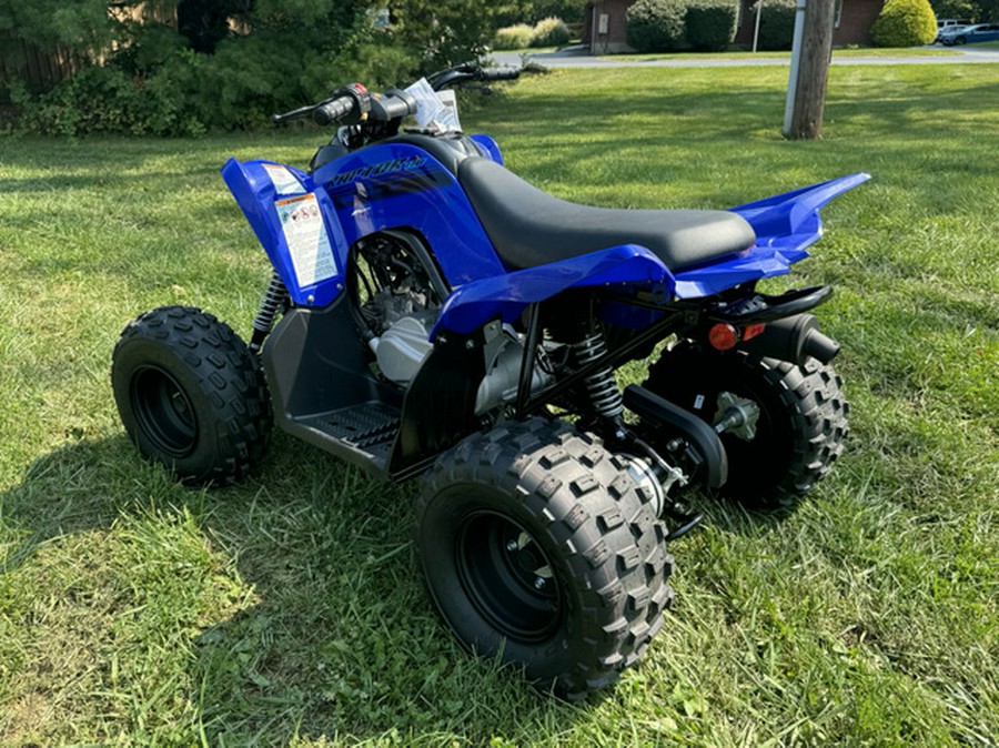 2025 Yamaha Raptor 110