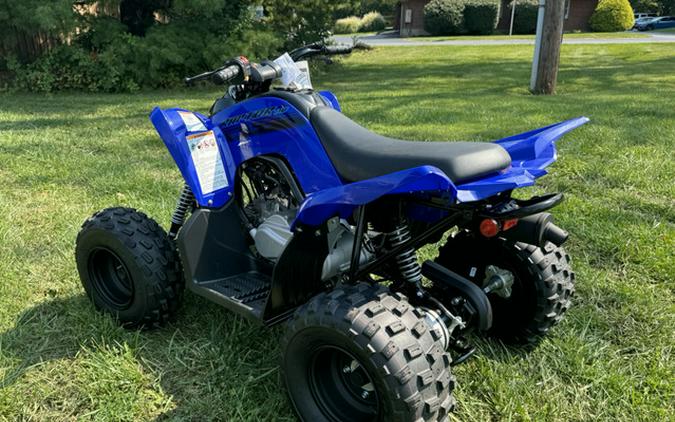 2025 Yamaha Raptor 110