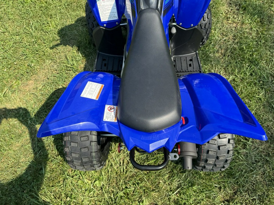 2025 Yamaha Raptor 110