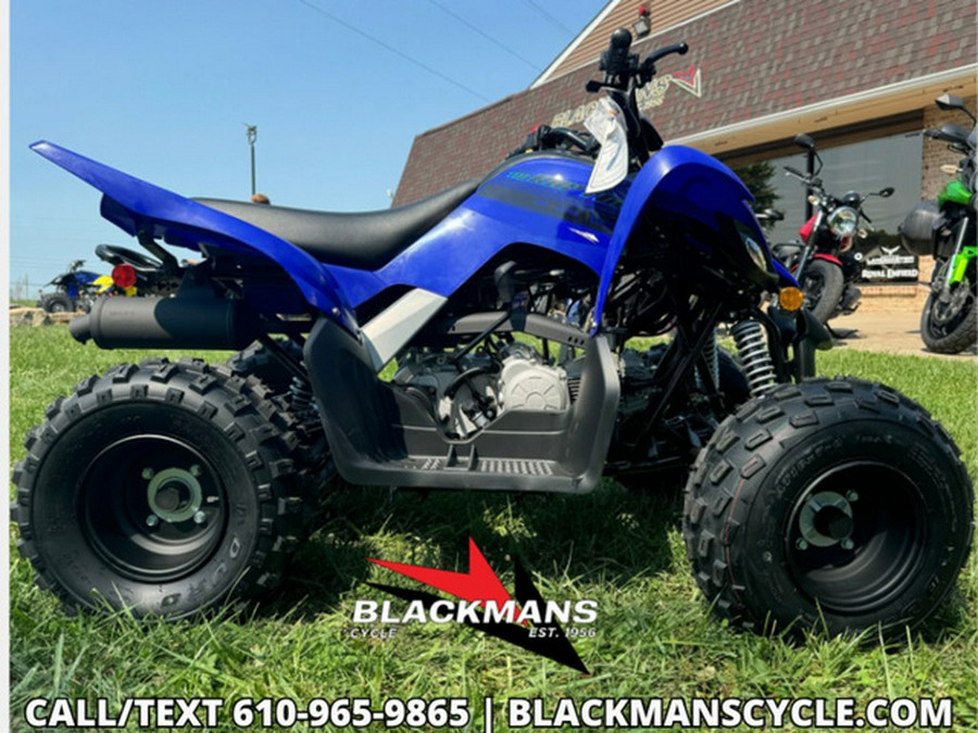 2025 Yamaha Raptor 110