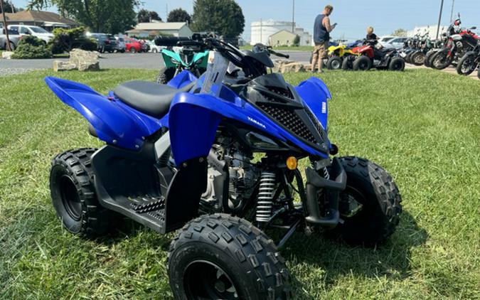 2025 Yamaha Raptor 110