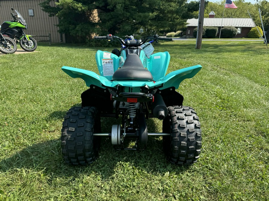 2025 Yamaha Raptor 110