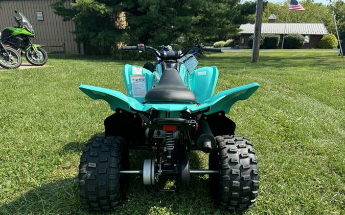 2025 Yamaha Raptor 110