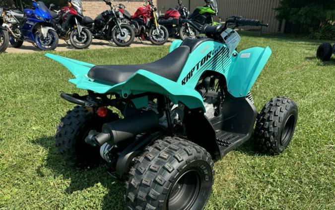 2025 Yamaha Raptor 110