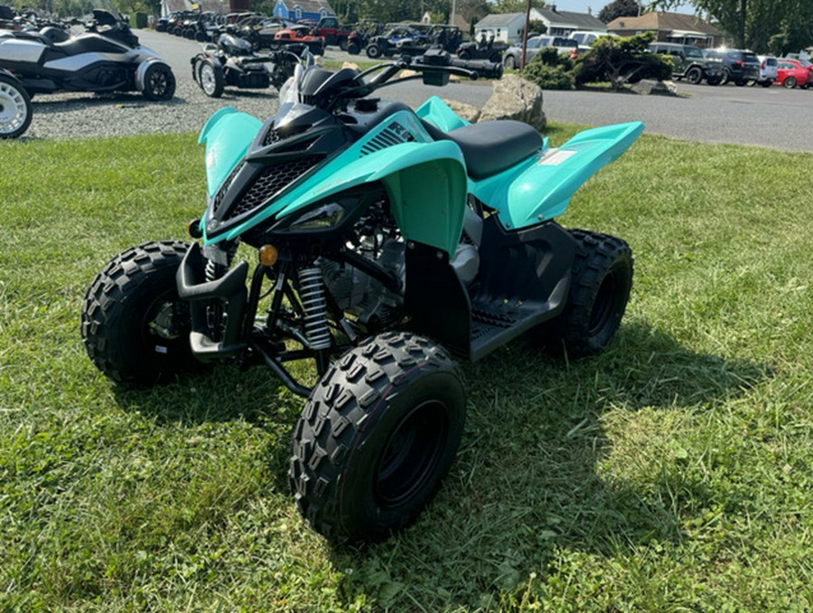 2025 Yamaha Raptor 110