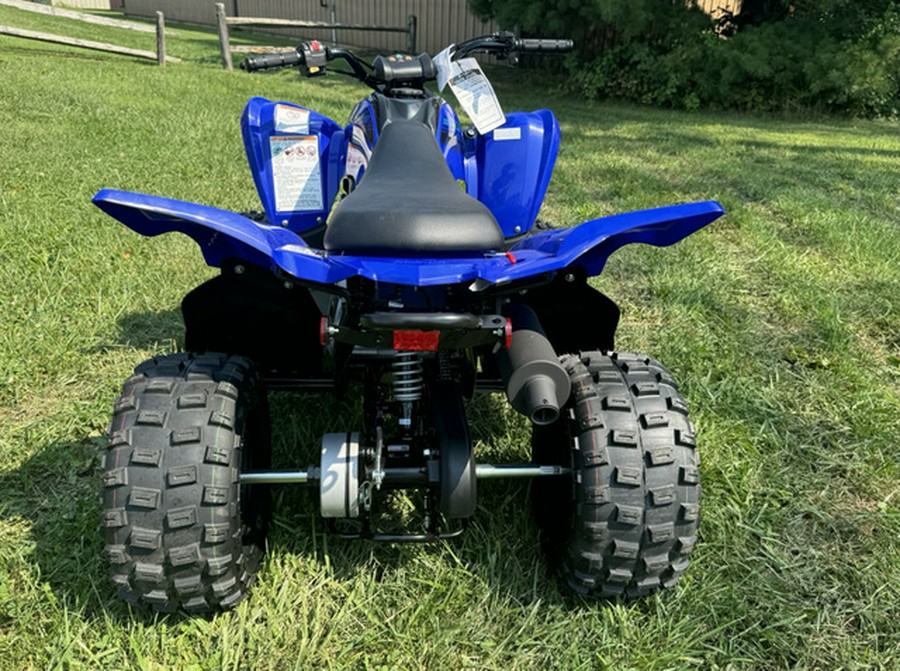 2025 Yamaha Raptor 110