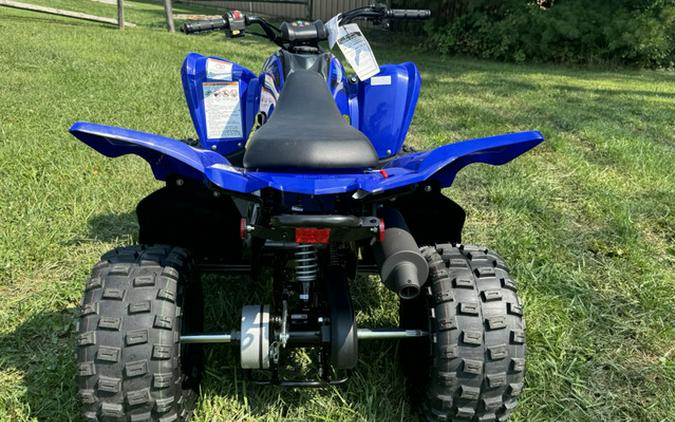 2025 Yamaha Raptor 110