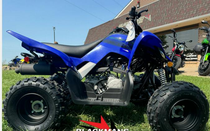 2025 Yamaha Raptor 110