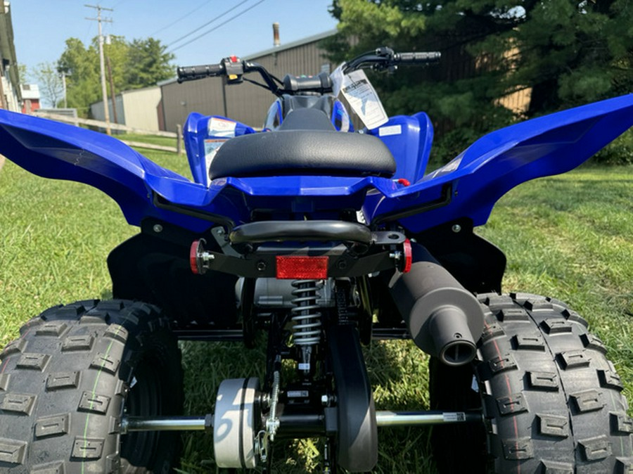 2025 Yamaha Raptor 110