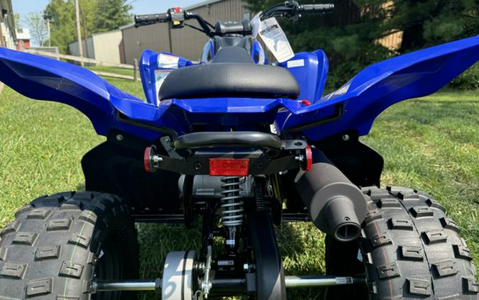 2025 Yamaha Raptor 110