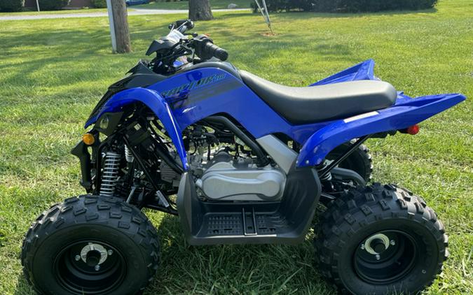 2025 Yamaha Raptor 110