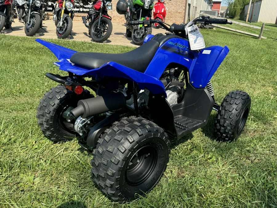 2025 Yamaha Raptor 110