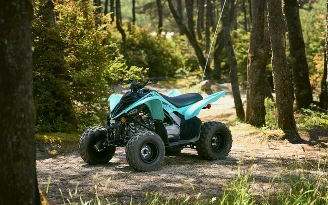 2025 Yamaha Raptor 110