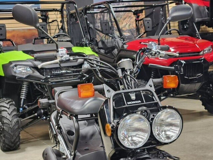 2024 Honda Ruckus Base