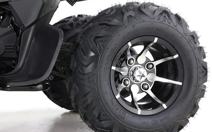 2025 Denago Powersports Daytona 250FI