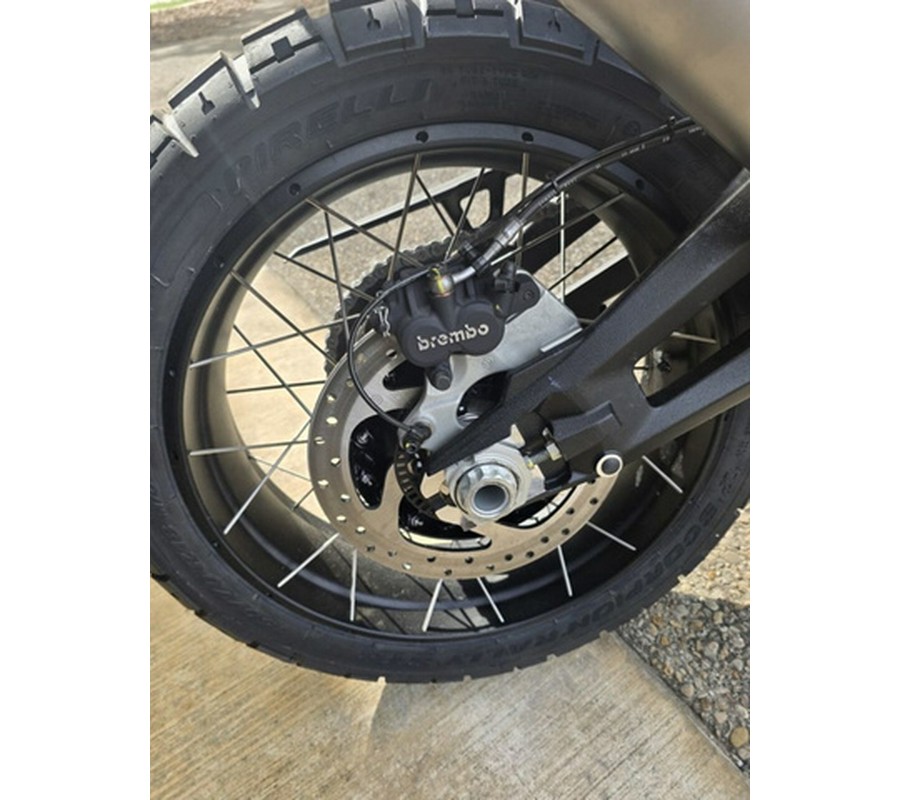 2025 Ducati Desert X Star White Silk