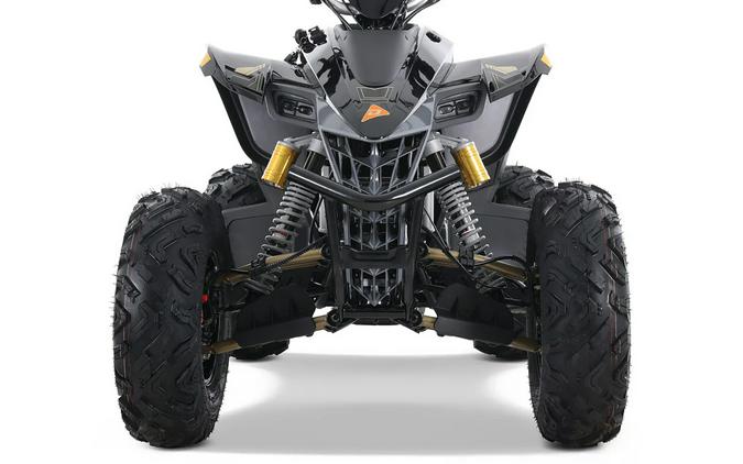 2025 Denago Powersports Daytona 250FI