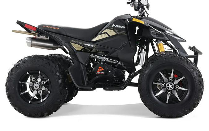2025 Denago Powersports Daytona 250FI