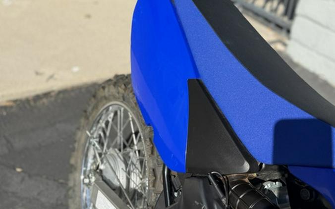 2025 Yamaha TT-R 125LE