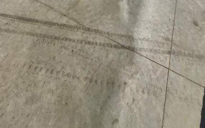 2025 Honda Pioneer 1000-5