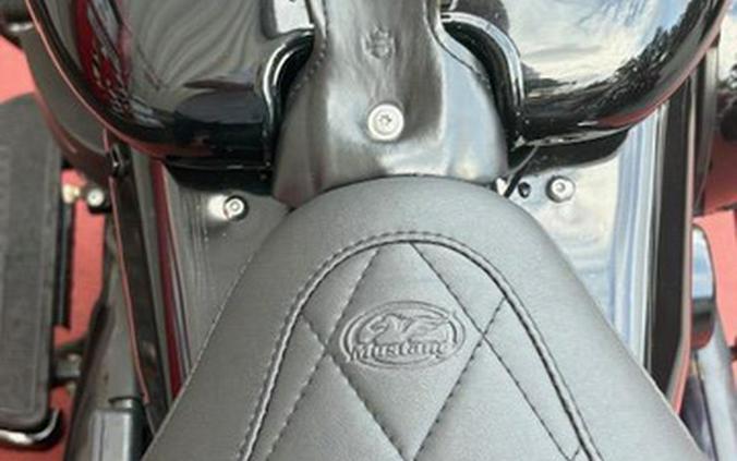 2017 Harley-Davidson Slim