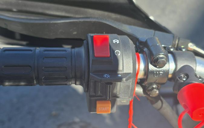 2025 Denago Powersports Daytona 250FI