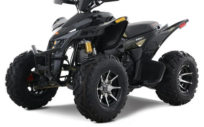 2025 Denago Powersports Daytona 250FI