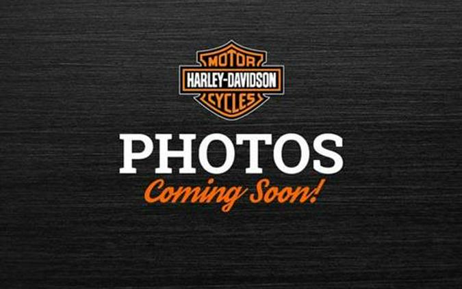 2020 Harley-Davidson Street Bob®