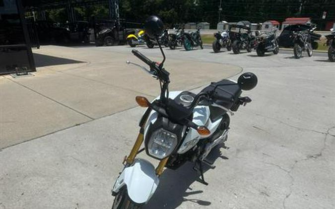 2025 Honda Grom