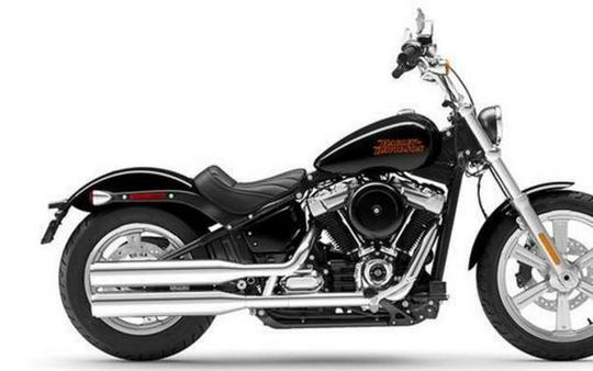 2023 Harley-Davidson® FXST Softail Standard