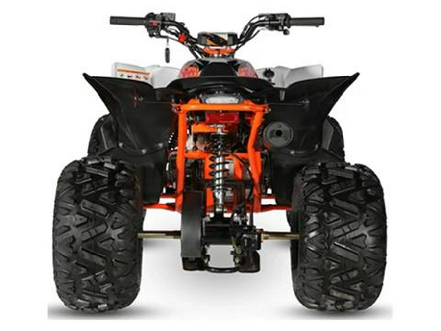 2023 Kayo Predator 125