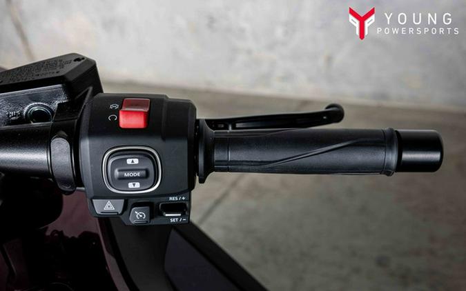 2025 Honda Gold Wing Tour 50th Anniversary