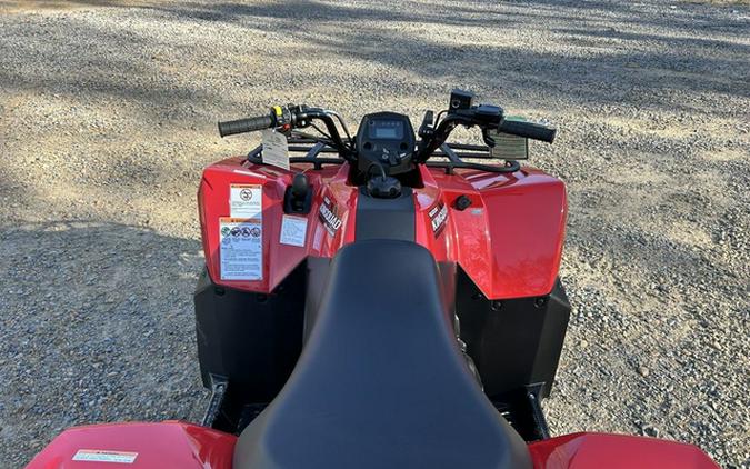 2025 Suzuki LT-A400FM5