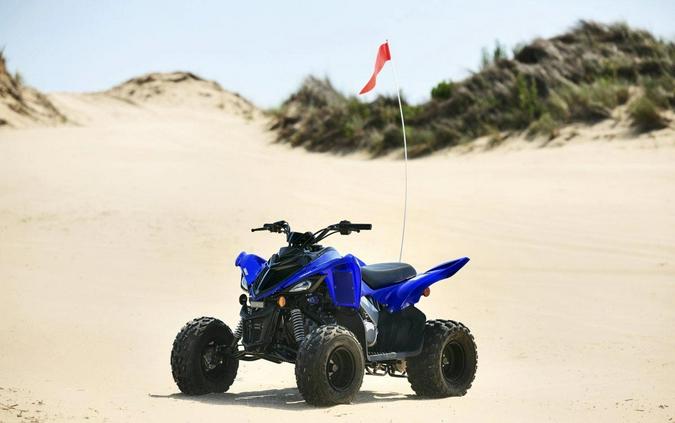 2024 Yamaha Raptor 110