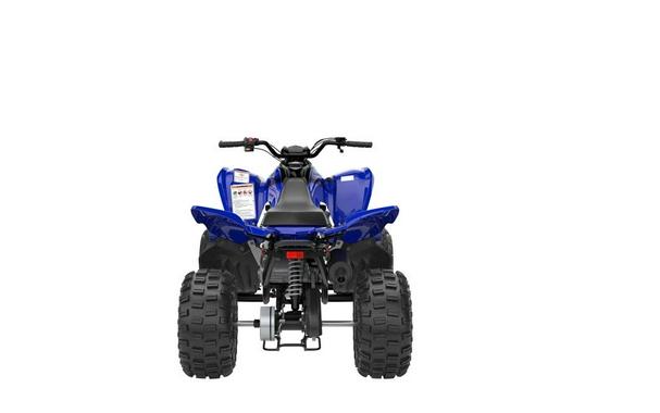 2024 Yamaha Raptor 110