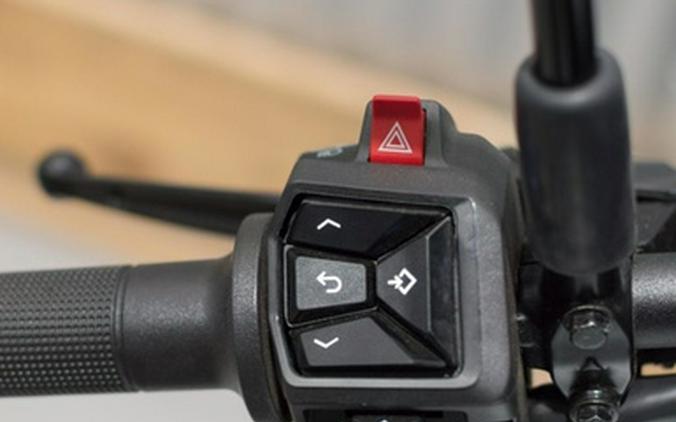 2024 Husqvarna Vitpilen 401 401