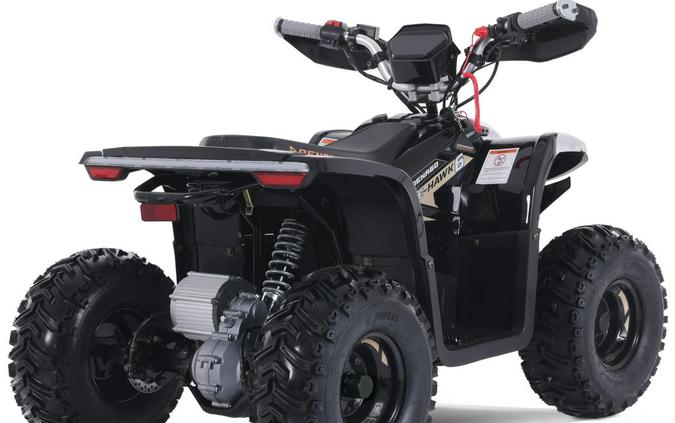 2026 Denago Powersports E-Hawk 6
