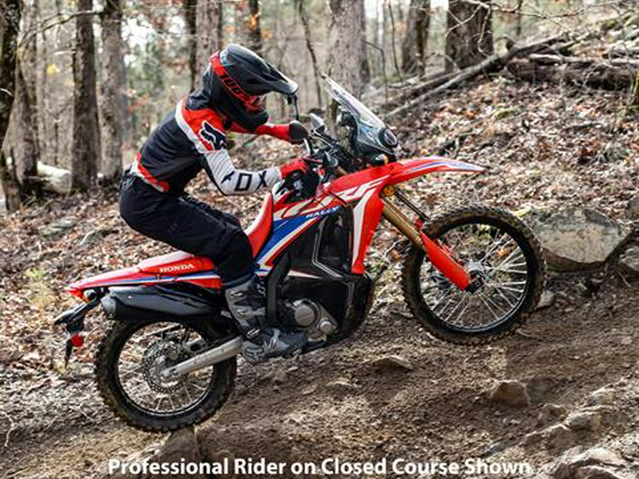 2023 Honda CRF300L Rally