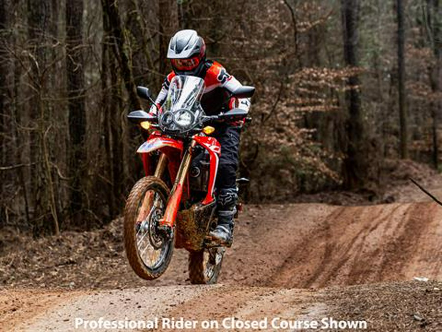 2023 Honda CRF300L Rally