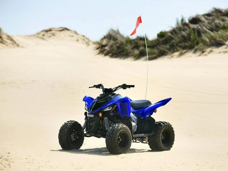 2025 Yamaha Raptor 110