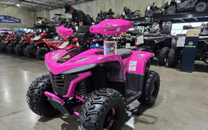2026 Denago Powersports E-Hawk 6