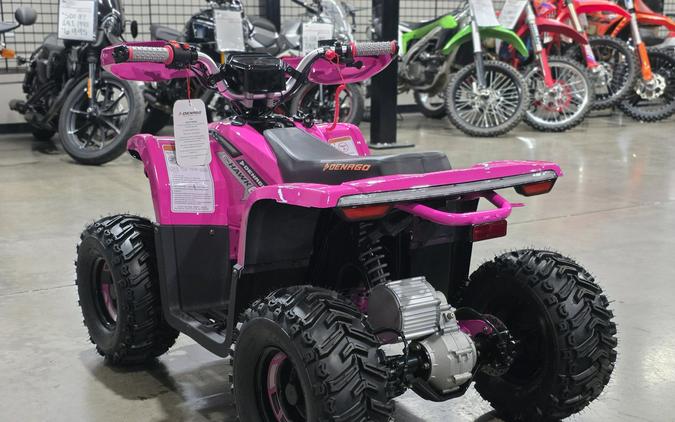 2026 Denago Powersports E-Hawk 6