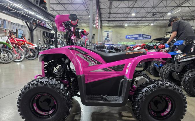 2026 Denago Powersports E-Hawk 6