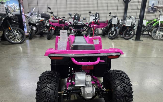 2026 Denago Powersports E-Hawk 6