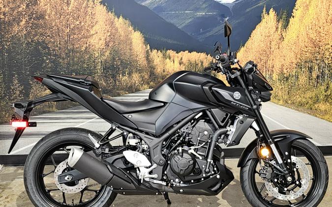 2024 Yamaha MT-03