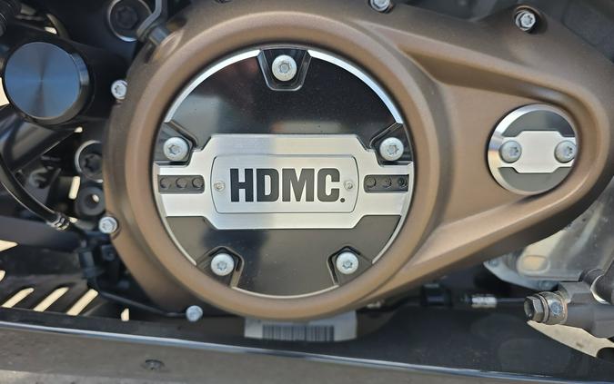 RH1250S 2022 Sportster® S